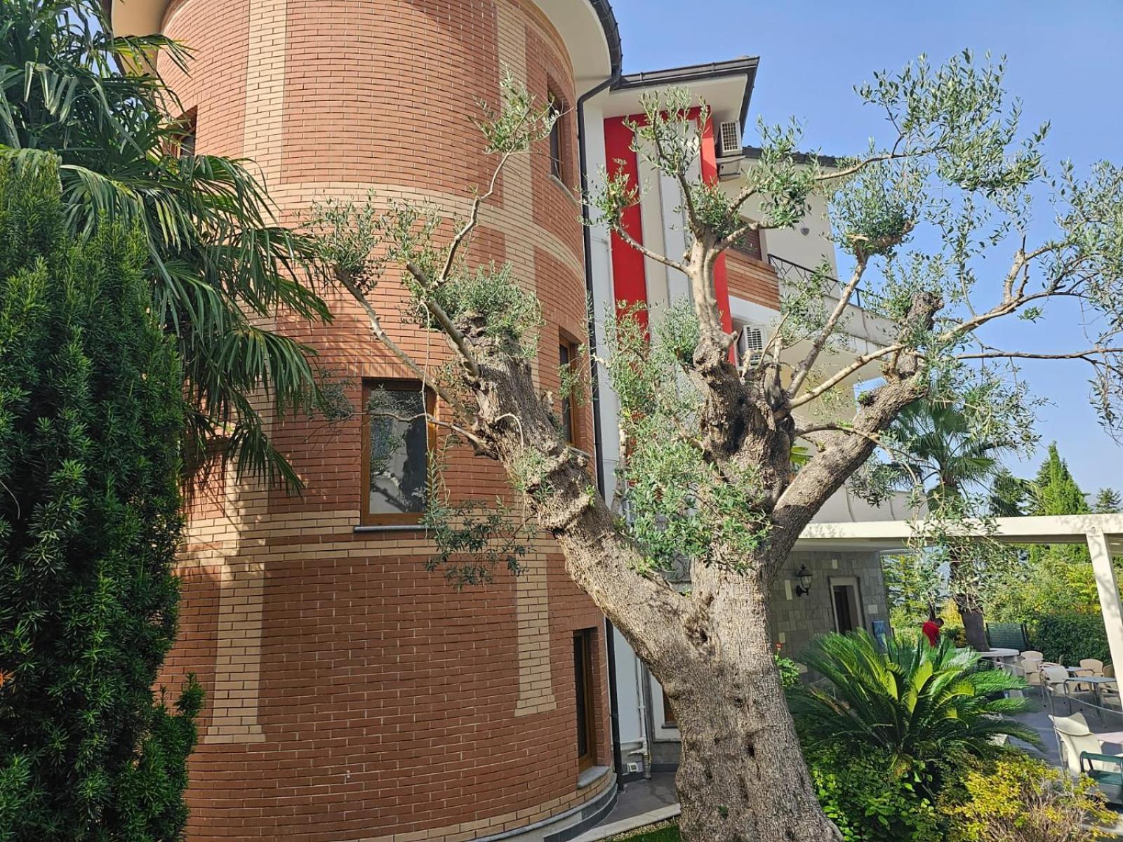 Hotel Sirio Rotonda Dış mekan fotoğraf